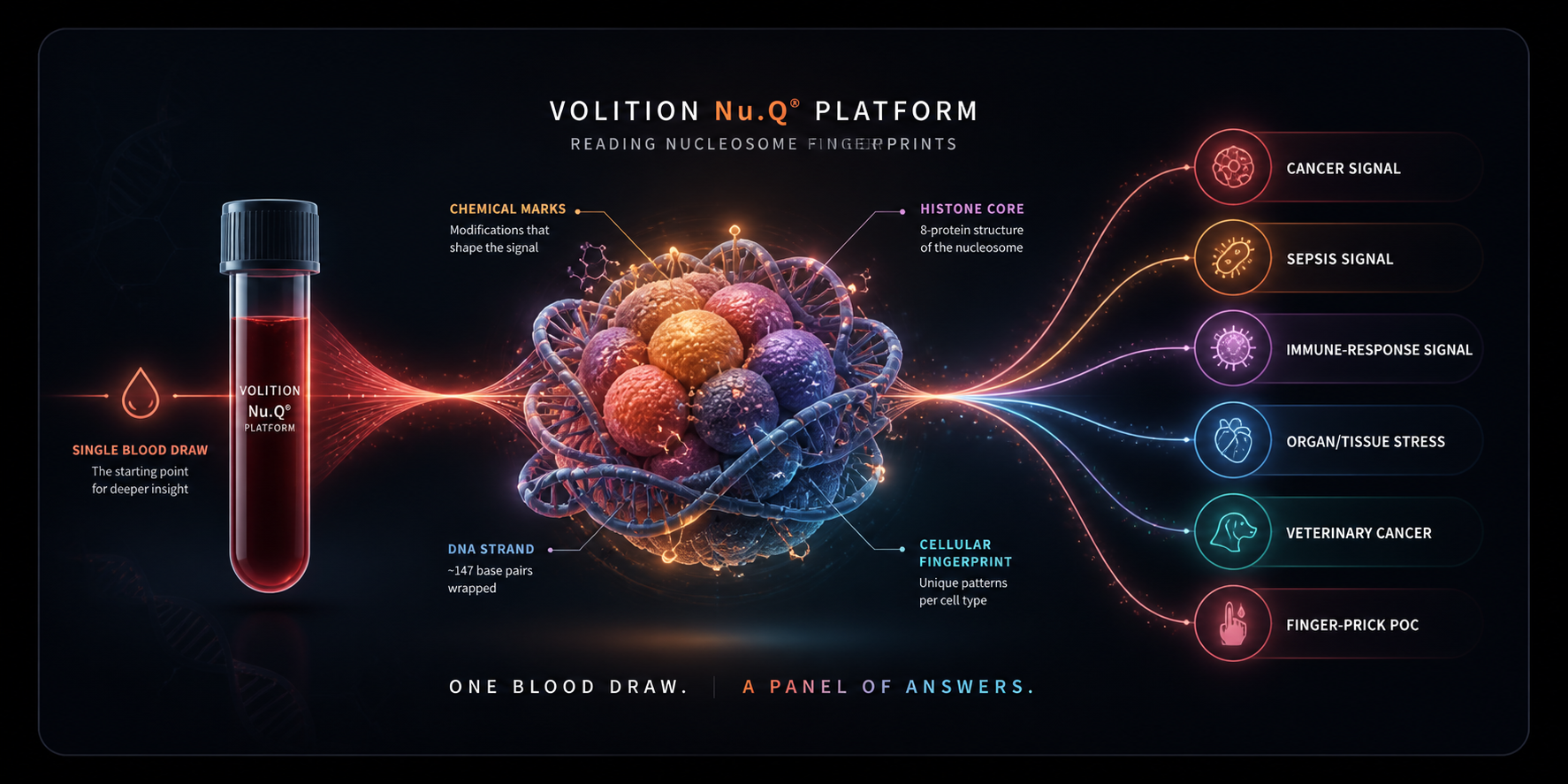 Volition Nu.Q Platform — single blood draw flowing into a nucleosome cluster (histone core, DNA strand, chemical marks, cellular fingerprint), expanding to a panel of six diagnostic outputs: cancer signal, sepsis signal, immune-response signal, organ/tissue stress, veterinary cancer, finger-prick point-of-care.